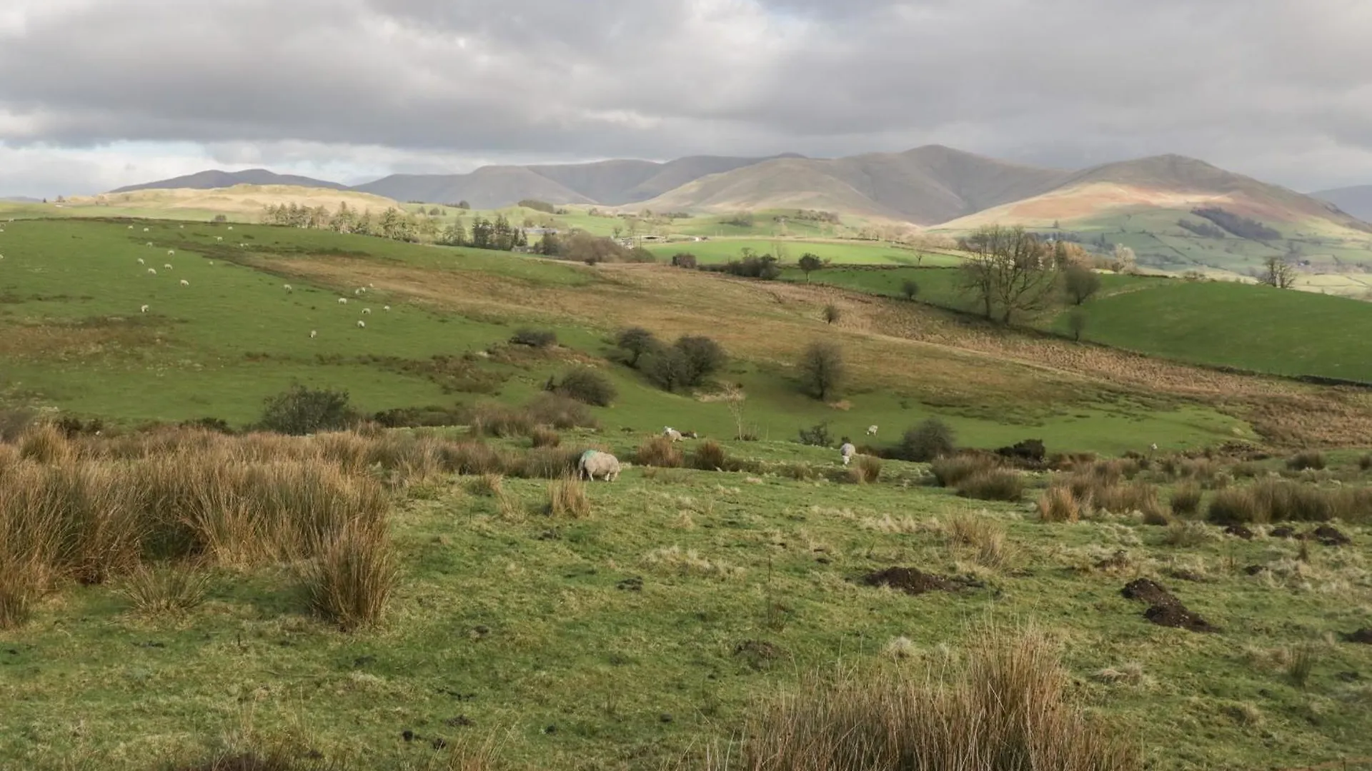 Semesterbostad Howgill House Sedbergh